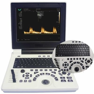 Kwaliteit  12in LCD Display Veterinary Ultrasound Equipment For Large Animals FDA ISO Fabriek