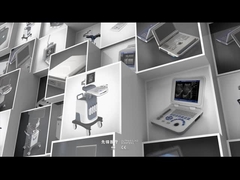 Profiel van het bedrijf